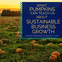 what pumpkins can teach us about sustainable business growth-1